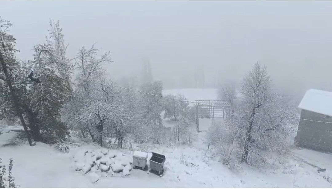 Van’ın Bahçesaray ilçesinde kar etkili oldu